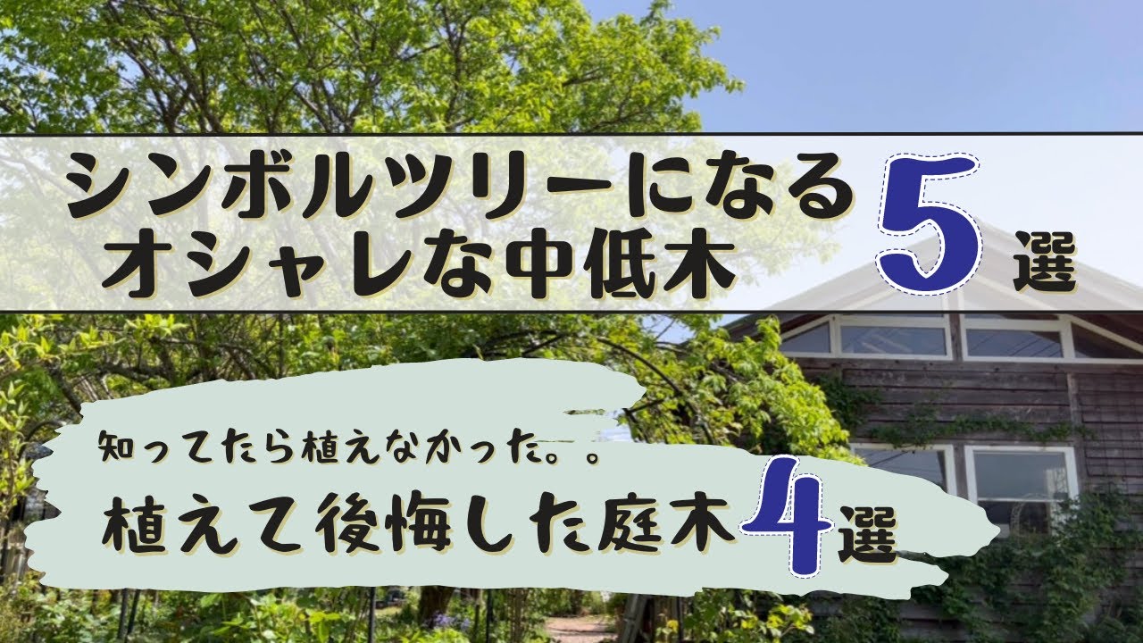 《コンパクトに楽しめるオシャレなシンボルツリー⑤選／実が楽しめる木も♪》高木・剪定・ヒコバエ・暴れる系の管理が大変な木④選