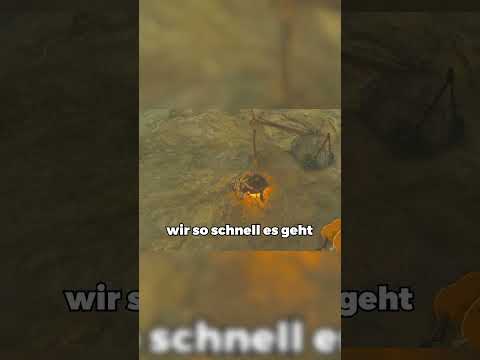 Diese Zelda Botw