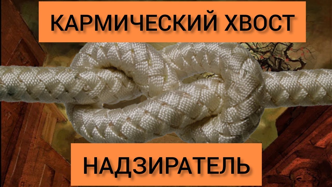 Кармический хвост воин. Бунтарь кармический хвост. 9 3 21 Кармический хвост. 21 10 16 Кармический хвост. 21 4 10 Кармический хвост.