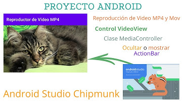 Control VideoView - Reproducir video local y mostrar controles ( ⏮ ▶ ⏭ ) en Android Studio