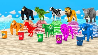 Choose Right Drink with Cow Elephant Gorilla Lion Dinosaur buffalo Wild Animals Games