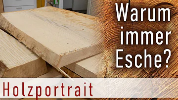 Ist Esche ein gutes Holz?