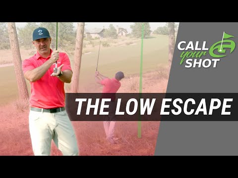 How to Escape the Trees | Golf Course Management