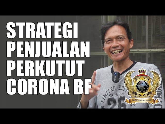 Peternak Perkutut Papan Atas Berbagi Teknik Pemasaran Corona BF - BSD City Tangerang Selatan class=