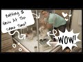 Bathing 5 Havanese Dogs At The Same Time!! | Wittle Havanese