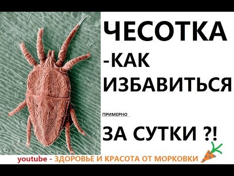 Видео: Как расщепить чесотку?