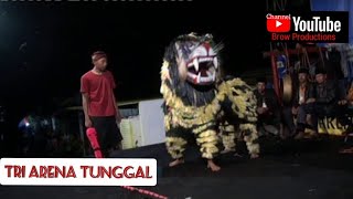 PENCAK SILAT BARONGSAI | Tri Arena Tunggal Pohbener Wagir - MALANG