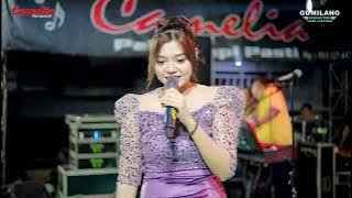 CAMELIA MUSIC - REMAINS OF LOVE - LAILY ALDIVA - WEDDING IKA & HASAN - GEMPOLSONGO MIJEN DEMAK