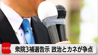 政権運営を左右　衆院3補選告示 政治とカネが争点（2024年4月16日）