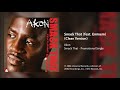 Akon - Smack That (feat. Eminem) (Clean Version)