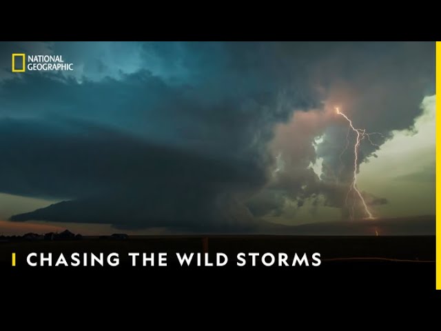 Notas de lançamento de Wield the Storm - Novidades