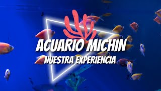 NUESTRA EXPERIENCIA EN ACUARIO MICHIN | PUEBLA