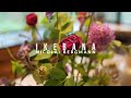 A Not-So-Traditional Form of Ikebana