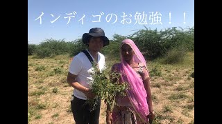 ヘナで白髪染め・インディゴの事（ヘナマイスター齋藤）