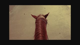 Video thumbnail of "Rio Grande [Lyric Video] - Freedom Fry (2019)"