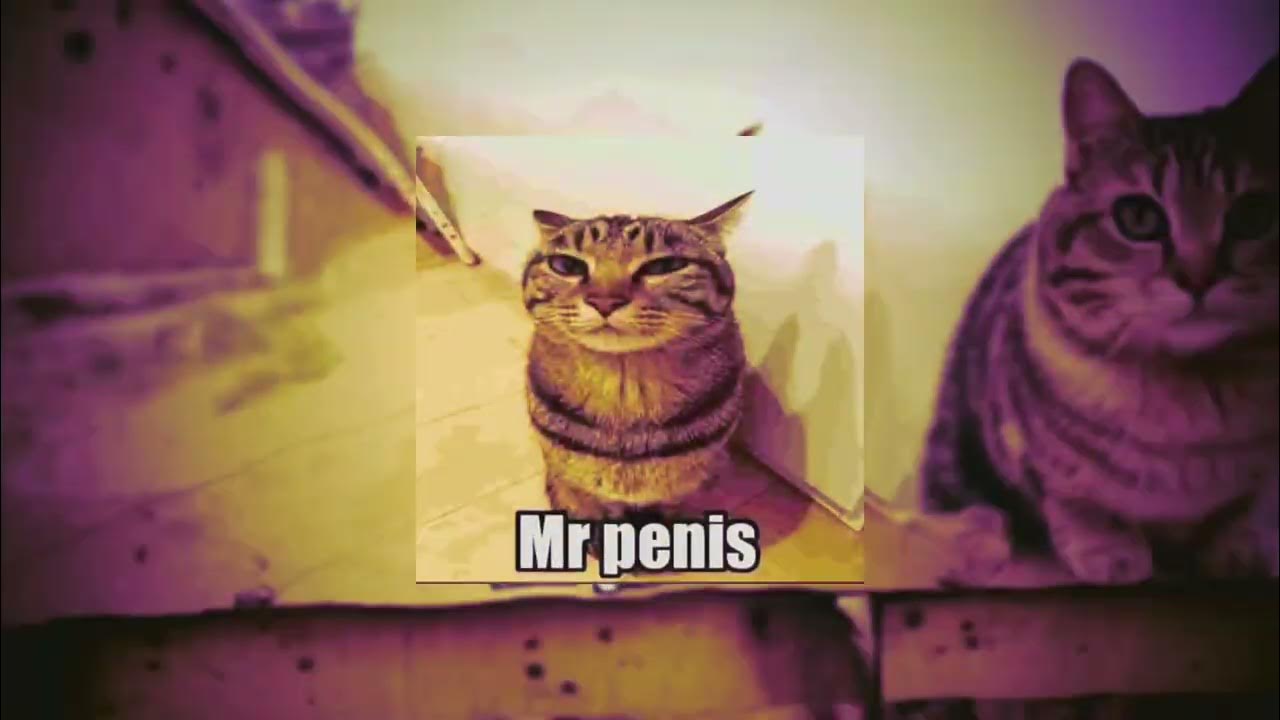 ГИМН Mr Penis]• - YouTube