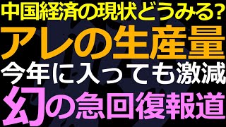 06-05 中国経済の実態を商業と密接な商品生産量から探る