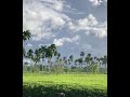 One of the most beautiful landscapes you’ll see in the Dominican countryside close to Cabarete.