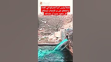 تلاوة تزلزل القلوب بصوت جميل جداً تقشعر لها الأبدان