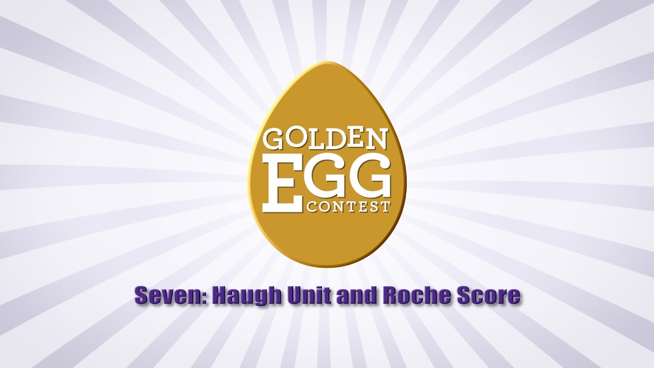 Seven Haugh Unit And Roche Score YouTube Seven Haugh Unit And Roche Score YouTube