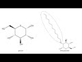 Surfactants and Thermodynamics of Micelles