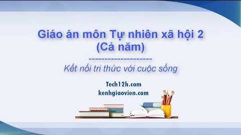[ Cả năm] Giáo án môn Tự nhiên xã hội 2 Kết nối tri thức với cuộc sống