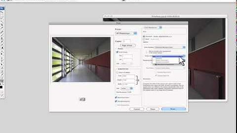How to Print with Profiles