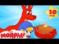 The Pet Kangaroo - Morphle Animal Videos | Cartoons for Kids | Mila and Morphle