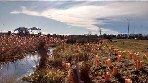 Ōtākaro-Avon River Restoration Project Crowdfunding Video