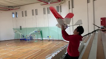 flapping wing 20181216