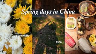 April days, a spring vlog to revisit grief.