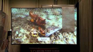 Проекционный экран Mocom 3D на выставке CES 2011(, 2011-01-21T09:03:25.000Z)