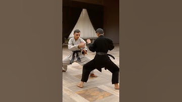 Kungfu 2 - 3D + AI, Blender, ComfyUI, Hunyuan and Mixamo