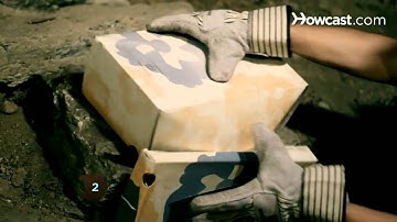 How to Get Rid of Bats