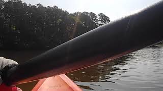 paddling around Lake Wheeler, Raleigh, NC