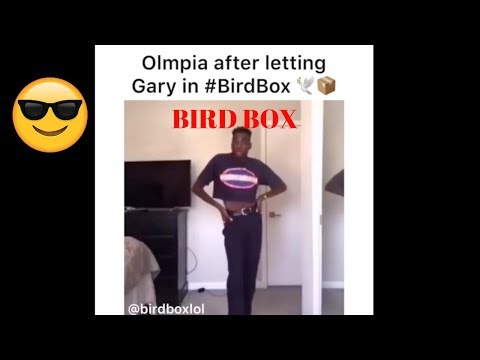 bird-box-2018-funny-memes-compilation