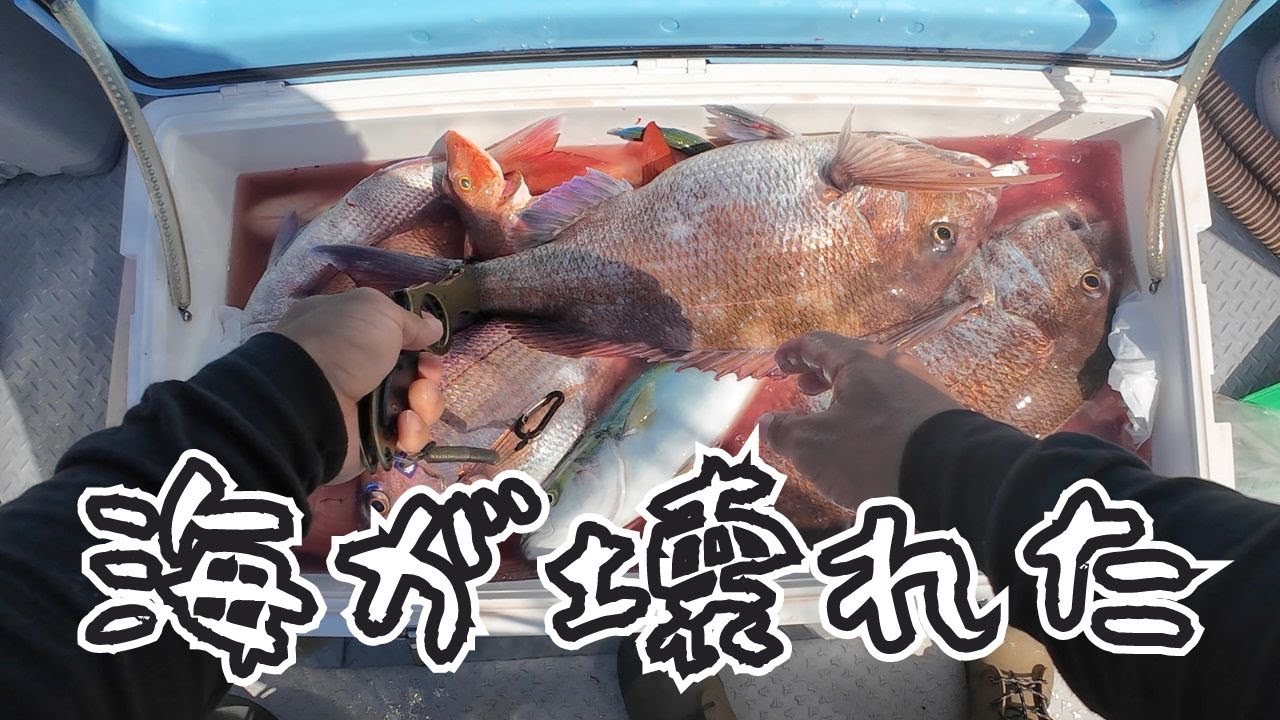 釣れ過ぎて頭がおかしくなりました【三国釣り旅編】#2