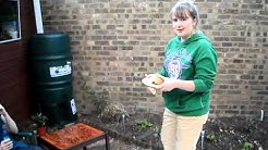 Ali's burger documentary 