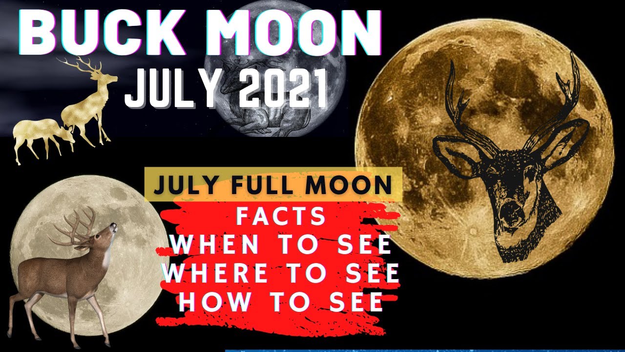 Луна июль 21 года. Buck Moon. Buck Moon mean. Лекси Луна 2021. Limited Edition 2021 Buck.