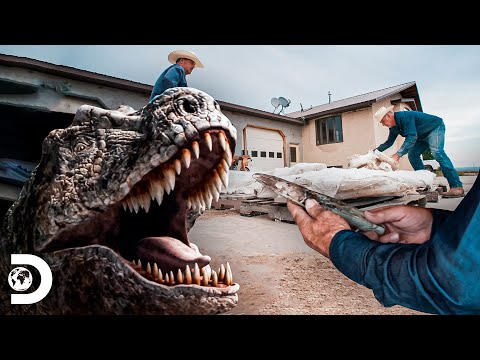 Vídeo: O cowboy rex já vendeu?