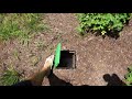 Doggie Dooley 3500 septic system review after 1 month