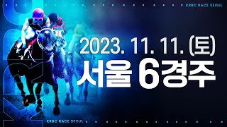 (서울) 2023.11.11 6경주