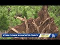 Thunderstorms topple trees, damaging homes in Manheim Township