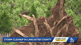 Thunderstorms topple trees, damaging homes in Manheim Township