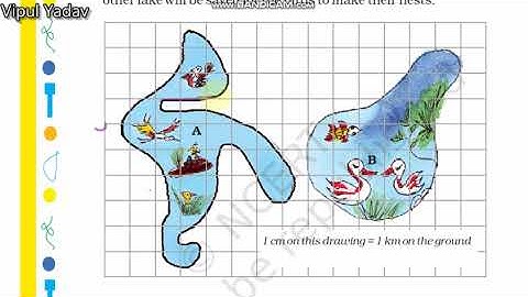 Mathematics class-5 chapter-11 Area and its Boundary page no- 156