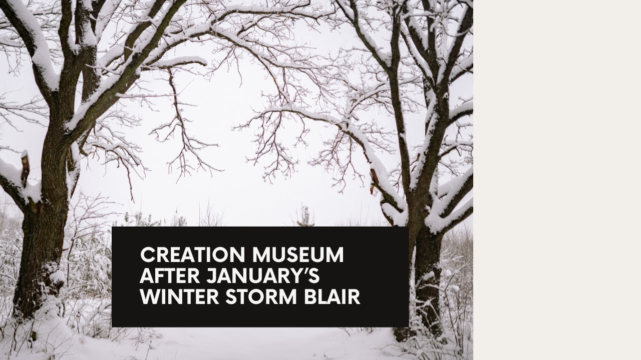 BEAUTIFUL January Walk: Creation Museum after Winter Storm Blair - YouTube