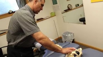 Scoliosis Treatment - Ames Chiropractic Wellness Center - Bangor, Corinna, Lincoln Maine