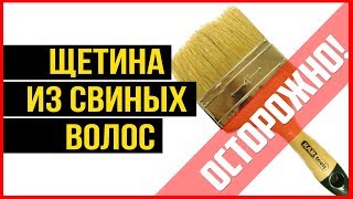 Осторожно! Щетина кисточек из свиных волос