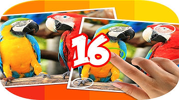 Tap 5 Differences Level 16 Walkthrough