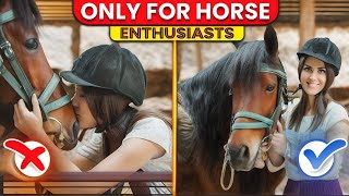 10 Myths That Every Horse Enthusiast Still Believe | But Are Completely Untrue